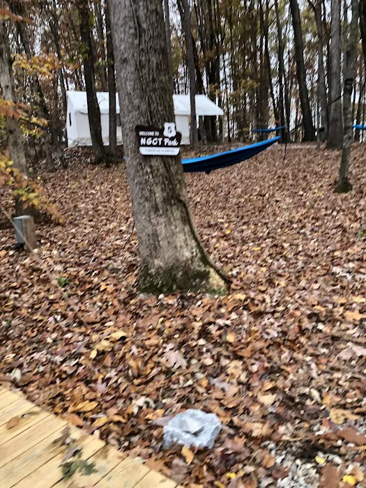 Timberline Glamping Company - Lake Lanier 4