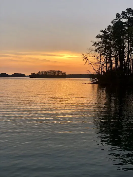Timberline Glamping Company - Lake Lanier 4