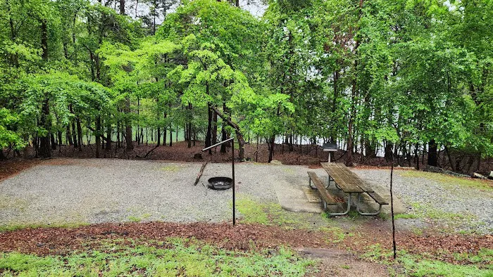 Timberline Glamping Company - Lake Lanier 4