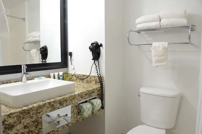 Country Inn & Suites by Radisson, Buford at Mall of Georgia, GA 4
