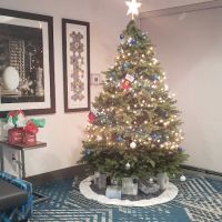 Holiday Inn Express & Suites Gainesville - Lake Lanier Area, an IHG Hotel ico