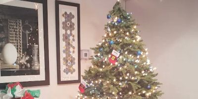 Holiday Inn Express & Suites Gainesville - Lake Lanier Area, an IHG Hotel