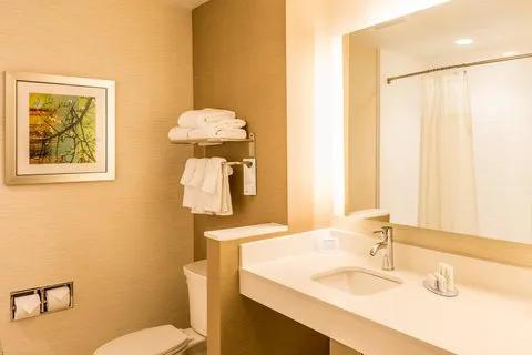 Fairfield Inn & Suites Atlanta Fairburn 4
