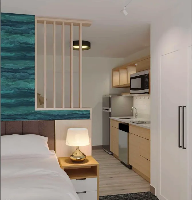 TownePlace Suites by Marriott Atlanta/Fairburn 4