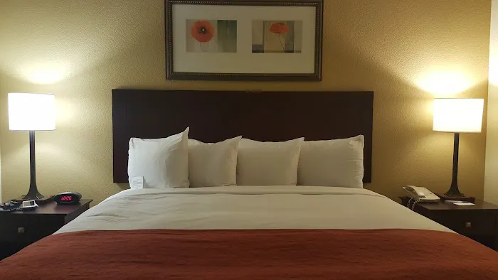 Comfort Inn & Suites 4