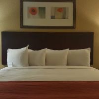 Comfort Inn & Suites ico