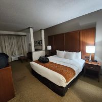 Comfort Suites Cumming-Atlanta near Northside Hospital Forsyth ico