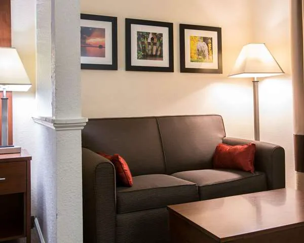 Comfort Suites Cumming-Atlanta near Northside Hospital Forsyth 4
