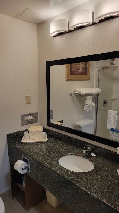 Comfort Suites Cumming-Atlanta near Northside Hospital Forsyth 4