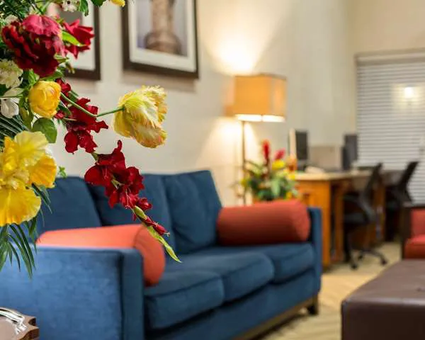 Comfort Suites Cumming-Atlanta near Northside Hospital Forsyth 4