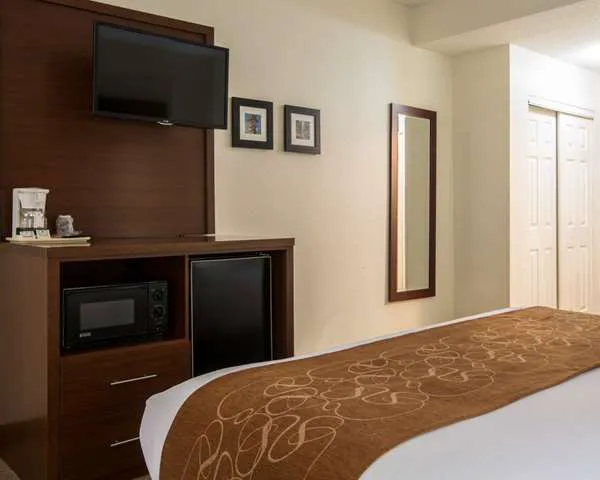 Comfort Suites Cumming-Atlanta near Northside Hospital Forsyth 4