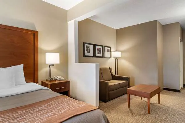 Comfort Inn & Suites Suwanee - Sugarloaf 4