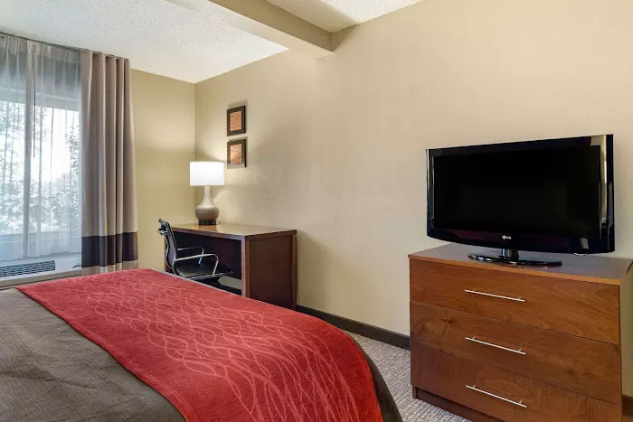 Comfort Inn & Suites Suwanee - Sugarloaf 4