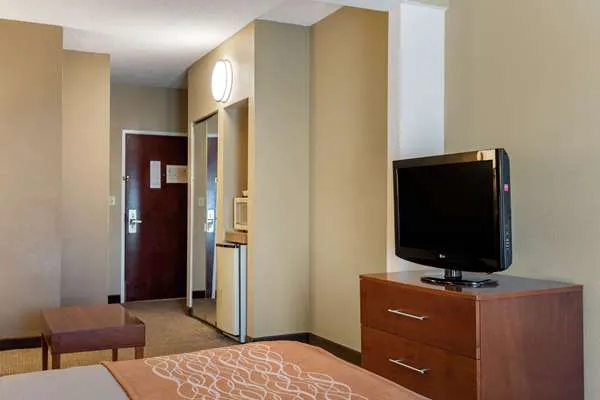 Comfort Inn & Suites Suwanee - Sugarloaf 4