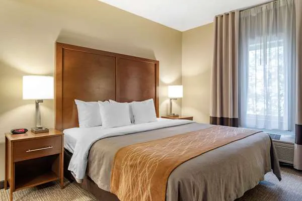 Comfort Inn & Suites Suwanee - Sugarloaf 4