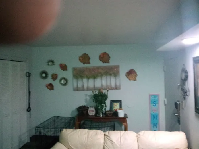 Extended Stay Gainesville 4