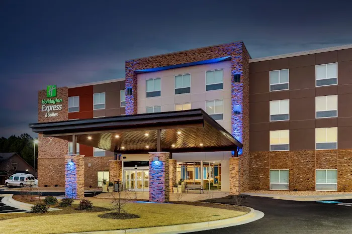 Holiday Inn Express & Suites Dawsonville by IHG 4