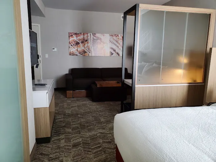 SpringHill Suites Suwanee Johns Creek 4