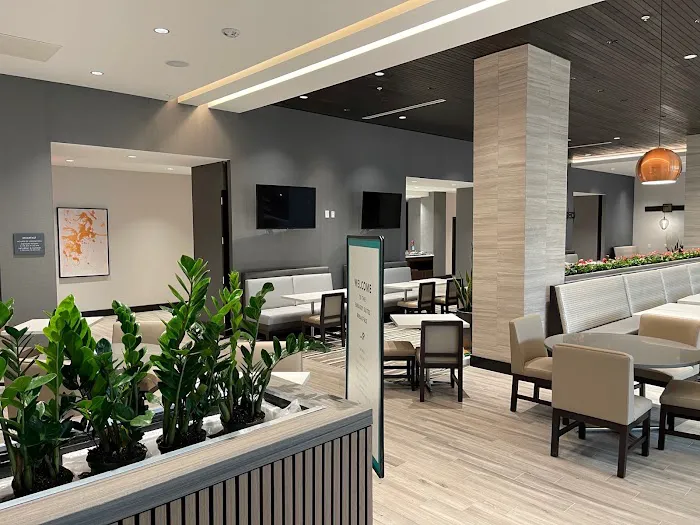Embassy Suites by Hilton Alpharetta Halcyon 4