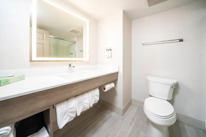 Holiday Inn Express & Suites Atlanta-Johns Creek by IHG 4
