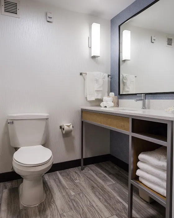 Hilton Garden Inn Atlanta North/Johns Creek 4