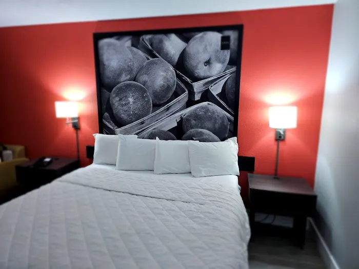 Namaste Inn & Suites Dawsonville 4