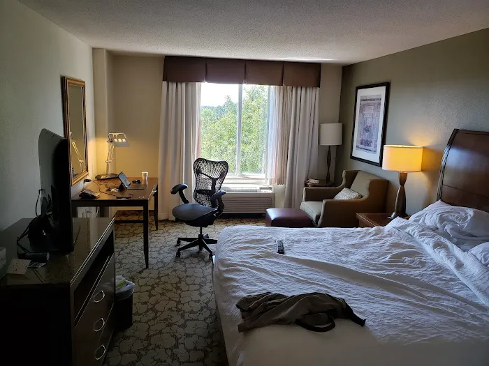 Hilton Garden Inn Atlanta North/Alpharetta 4