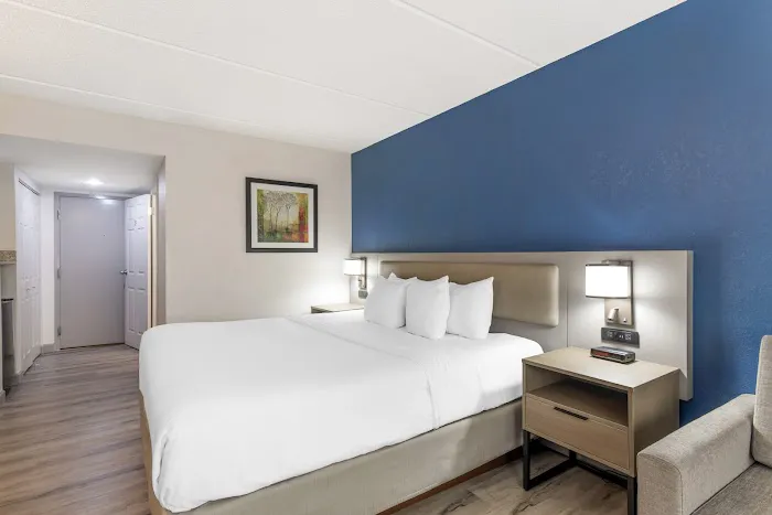 Comfort Inn Alpharetta-Atlanta North 4