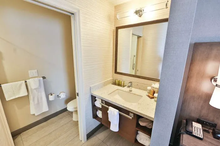 DoubleTree by Hilton Hotel Atlanta - Alpharetta 4