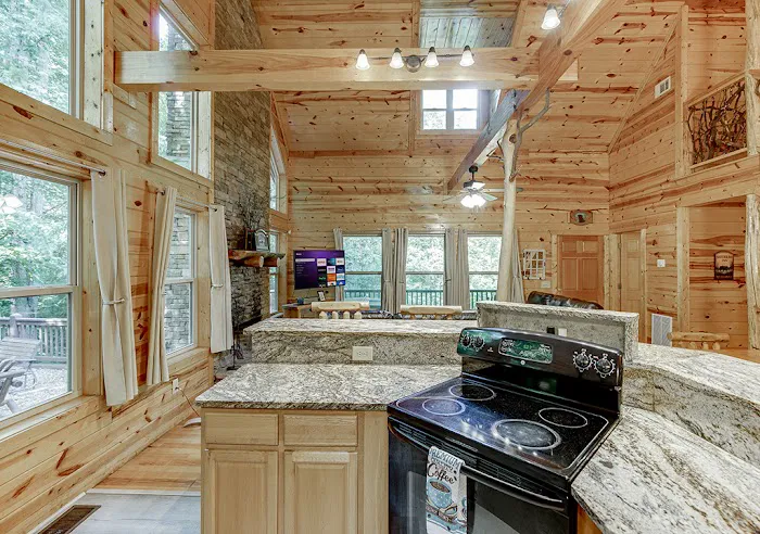Inspiration Cabin 4