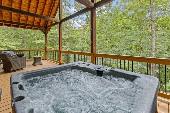 Destiny cabin 4