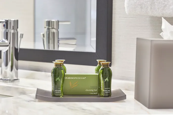 The Hamilton Alpharetta, Curio Collection by Hilton 4