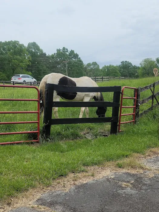 Country Hideaway Condominium Association, Inc. 4