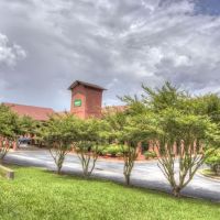 Jamison Inn ico