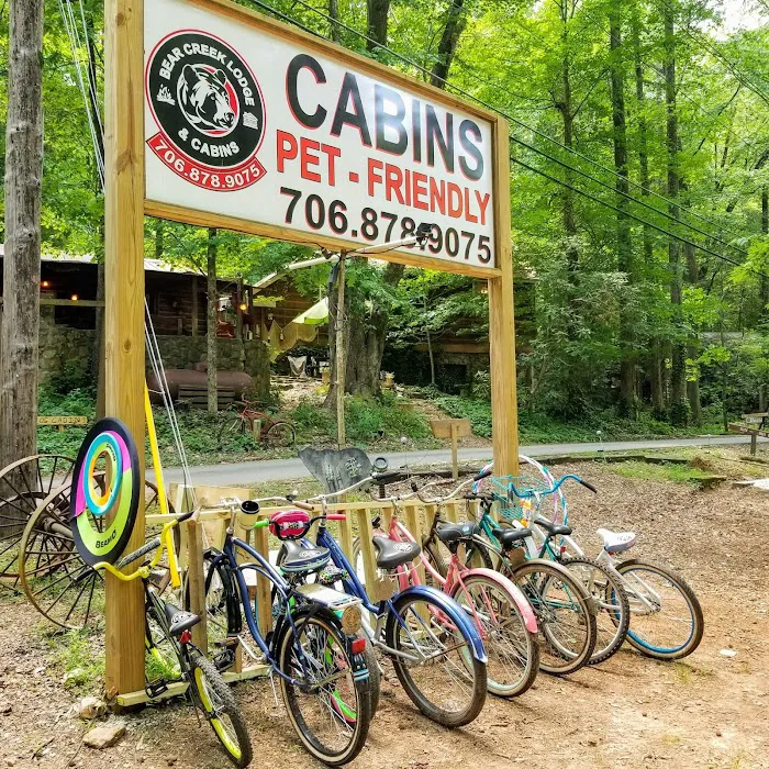 GOLD MINERS CABIN at Bear Creek Cabins in Helen Ga 4