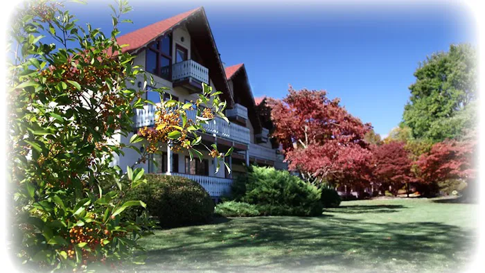 Loreley Resort 4