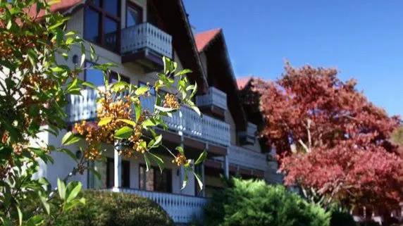 Loreley Resort 4
