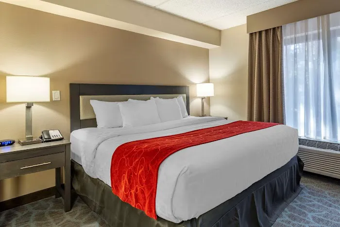 Comfort Suites Alpharetta/Roswell - Atlanta Area 4