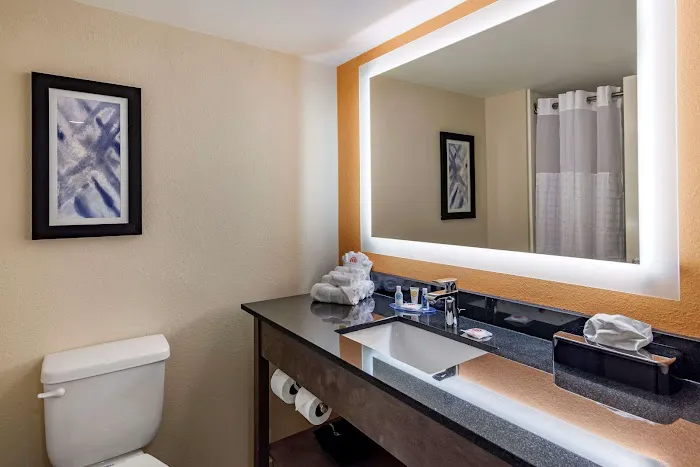Comfort Suites Alpharetta/Roswell - Atlanta Area 4