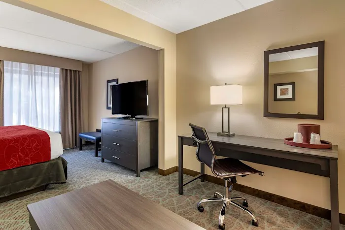 Comfort Suites Alpharetta/Roswell - Atlanta Area 4