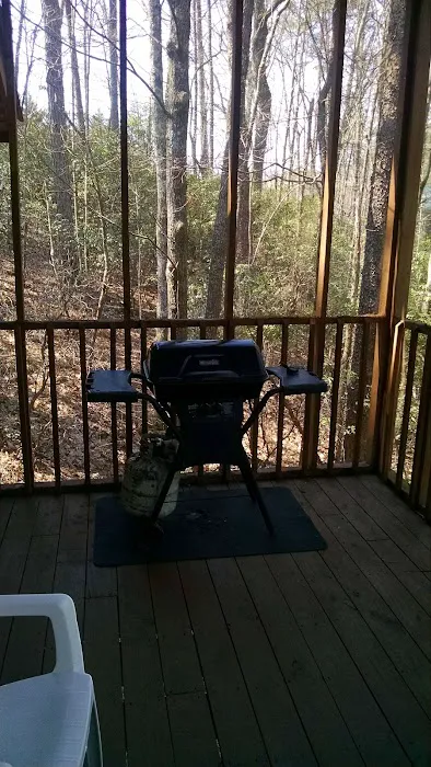 In The Woods 4