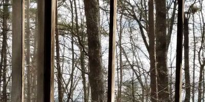 In The Woods