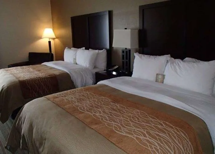 Comfort Inn 4