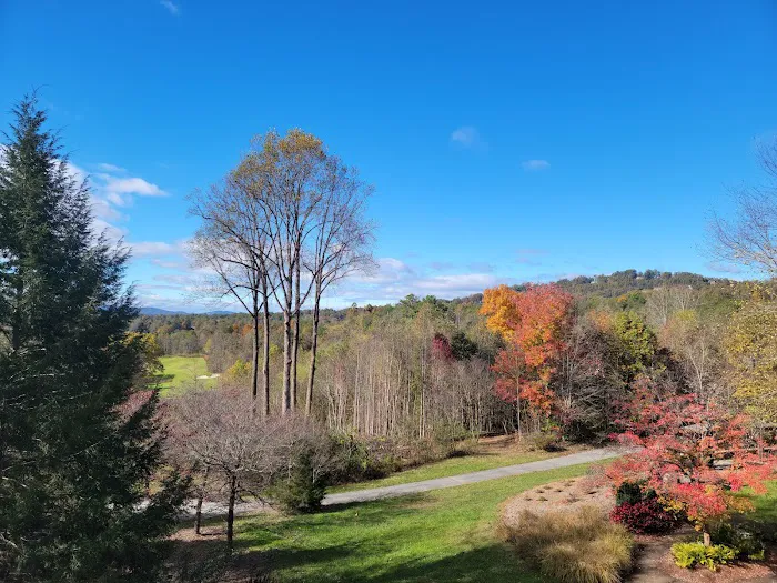 Brasstown Valley Resort & Spa 4