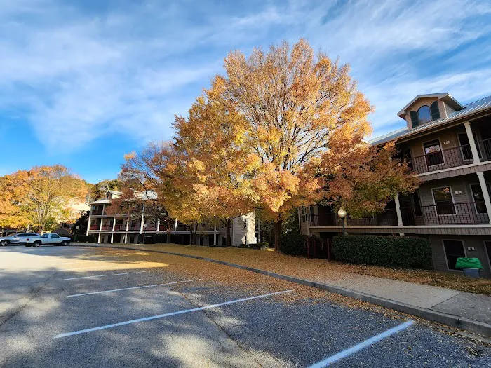 Apple Mountain Resort & Golf Club 4