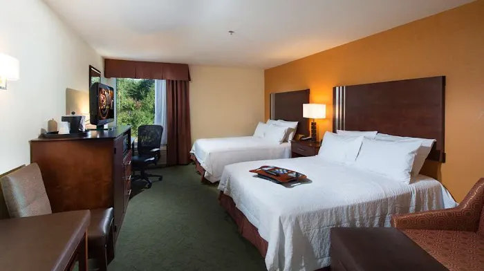 Hampton Inn Cornelia 4