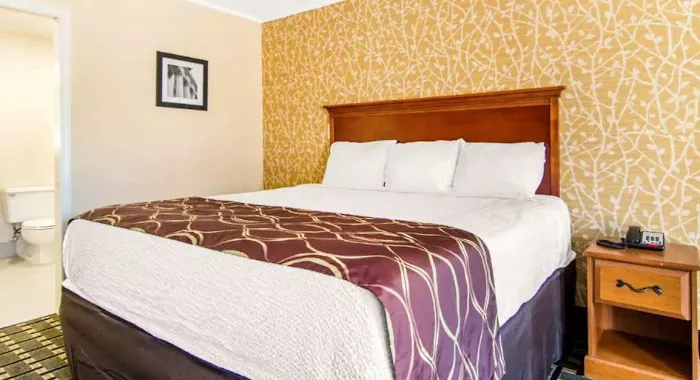 My Home & Suites Toccoa 4