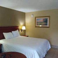 Murphy Motel ico