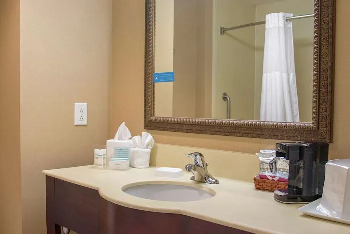 Hampton Inn Murphy 4
