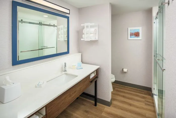 Hampton Inn Blue Ridge 4